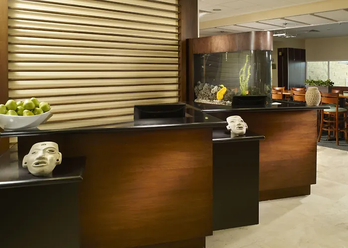 Fairfield By Marriott Los Cabos Cabo San Lucas